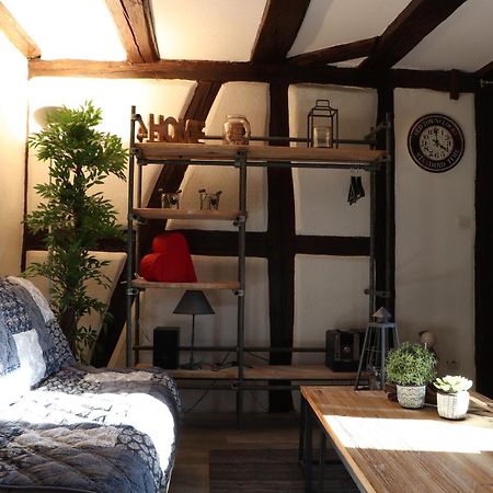 Ferienwohnung Sous Les Toits Du Zinc - Climatise Colmar Exterior foto