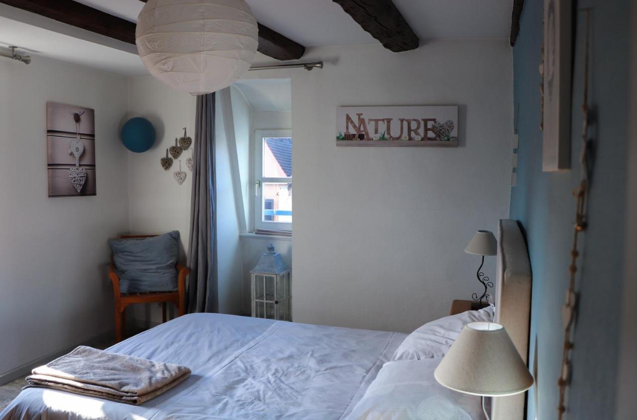 Ferienwohnung Sous Les Toits Du Zinc - Climatise Colmar Exterior foto